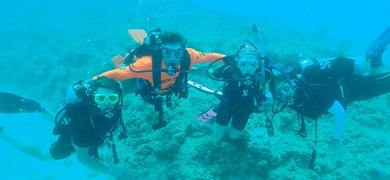 PADI Rescue Diver and EFR Course in Honolulu