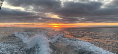 sunset fishing trip