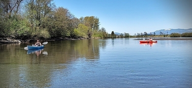 Kayak, SUP or Canoe Trip in Mount Vernon