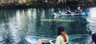 kayak tour florida