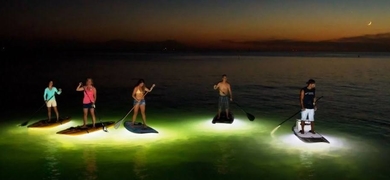 Cover for SUP in Alicante by night