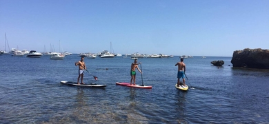 Cover for SUP and snorkeling in Isla de Tabarca