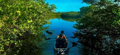 clear kayak tour florida