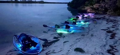 Glow Kayak Tour in Shell Key Preserve
