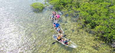 Clear Kayak Tour of Sugarloaf Key