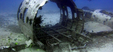 diving tour 