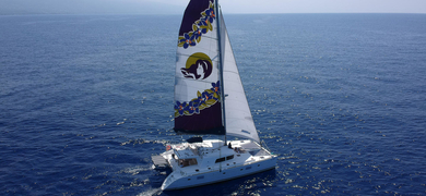 waikiki catamaran sailing tour