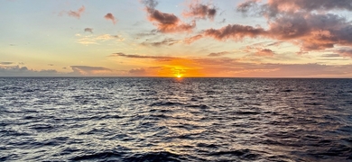 Sunset Catamaran Cruise in Waikiki