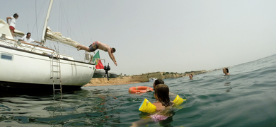 Cover for Half day sailing trip in Albufeira