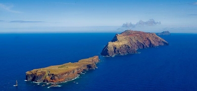 Cover for Boat tour to Desertas Islands in Madeira