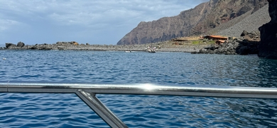 Private Cruise to Desertas Islands