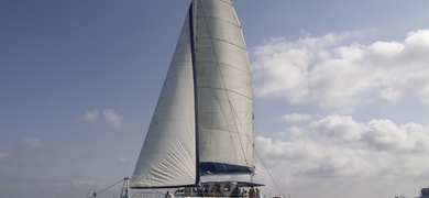 Alicante catamaran