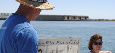Ria Formosa Island Boat Trip Birds