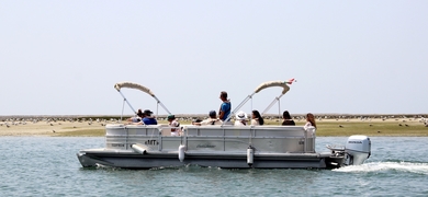 Ria Formosa Island Boat 