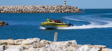 Coastal boat tour in Nazaré Cover