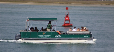 Catamaran tour in Ria Formosa 