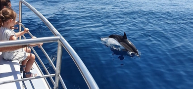 Lagos dolphin adventure
