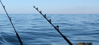 Book a fishing charter in the Algarve
