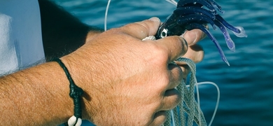 Learn all about tuna fishing