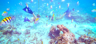 Go snorkeling in Punta Cana