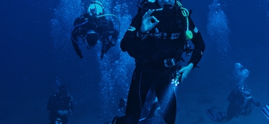 Deep Diving in Arrabida Natural Park