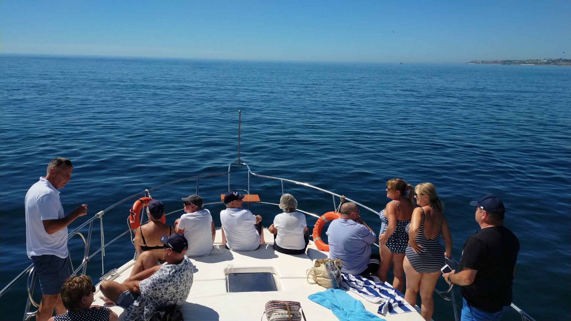 dolphin cruises fuengirola