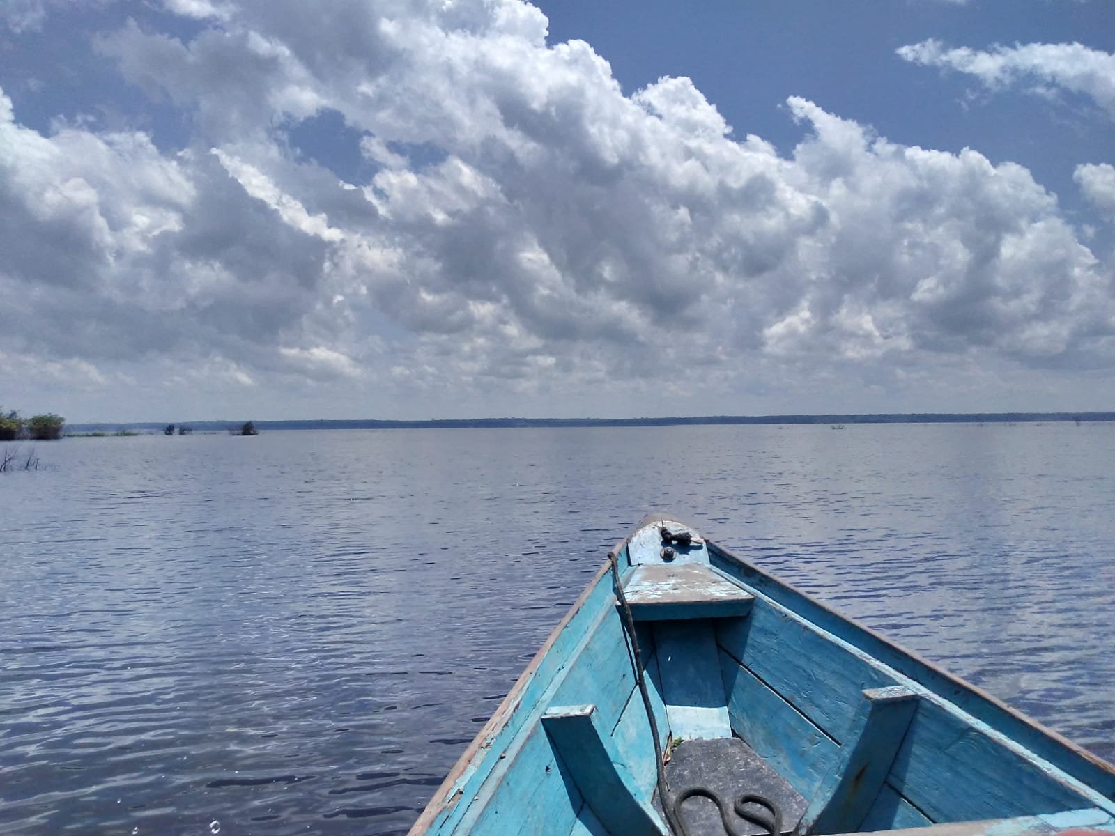 Speedboat Tour in the Archipelago in Anavilhanas