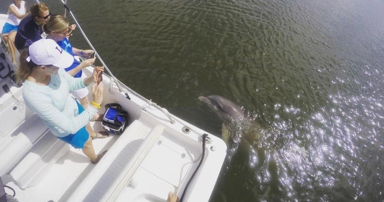 Private Cruise to see Dolphins in Hilton Head