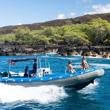Private Afternoon Snorkeling tour from Kona