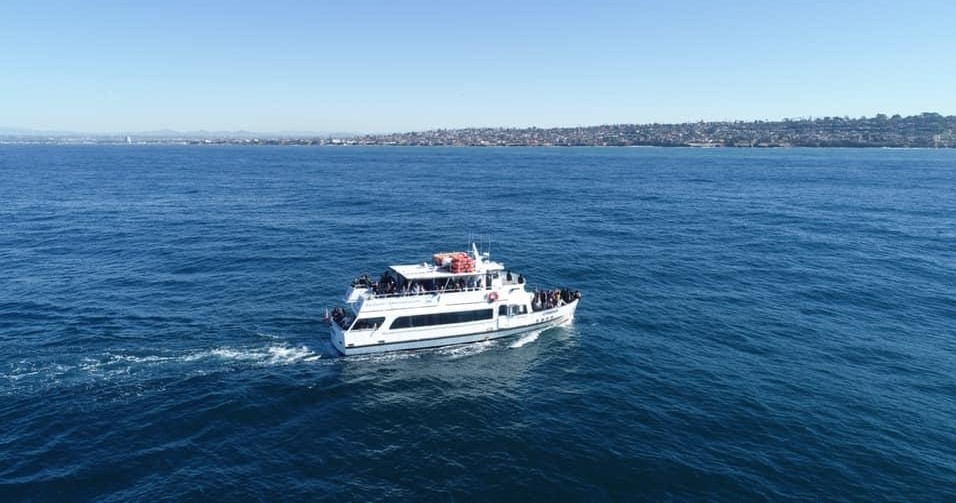 Whale Watching Tour in San Diego