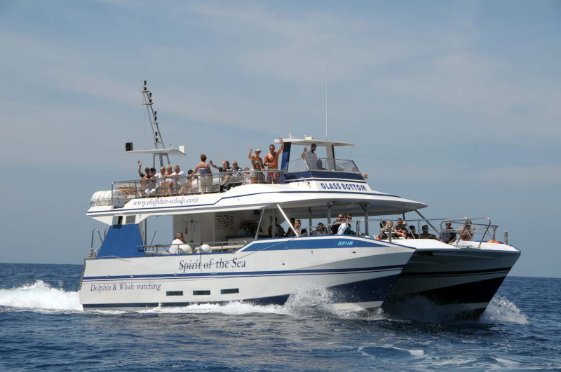 The whole family is welcome on our comfortable motor catamaran with a glass bottom