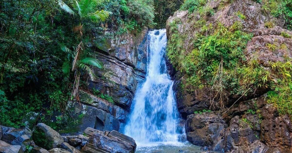 Hike and Kayak Tour in Puerto Rico