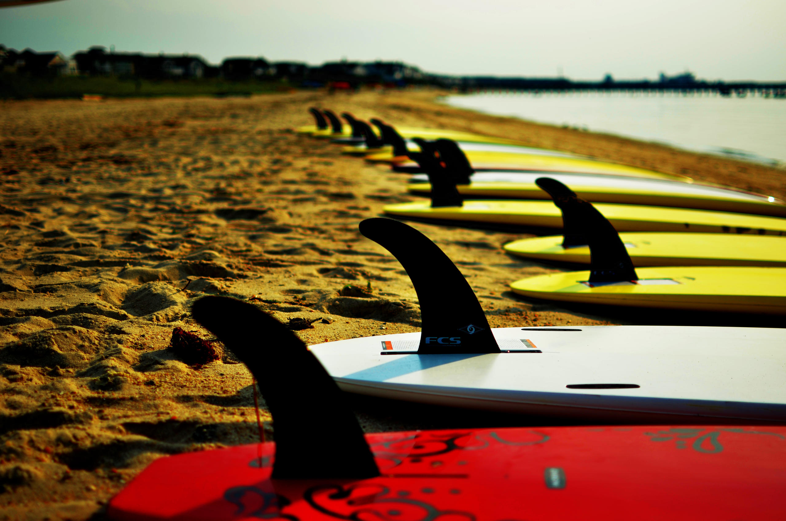 SUP Board Rental in Dewey Beach