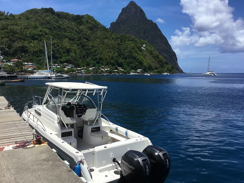 Private West Coast Tour from Rodney Bay