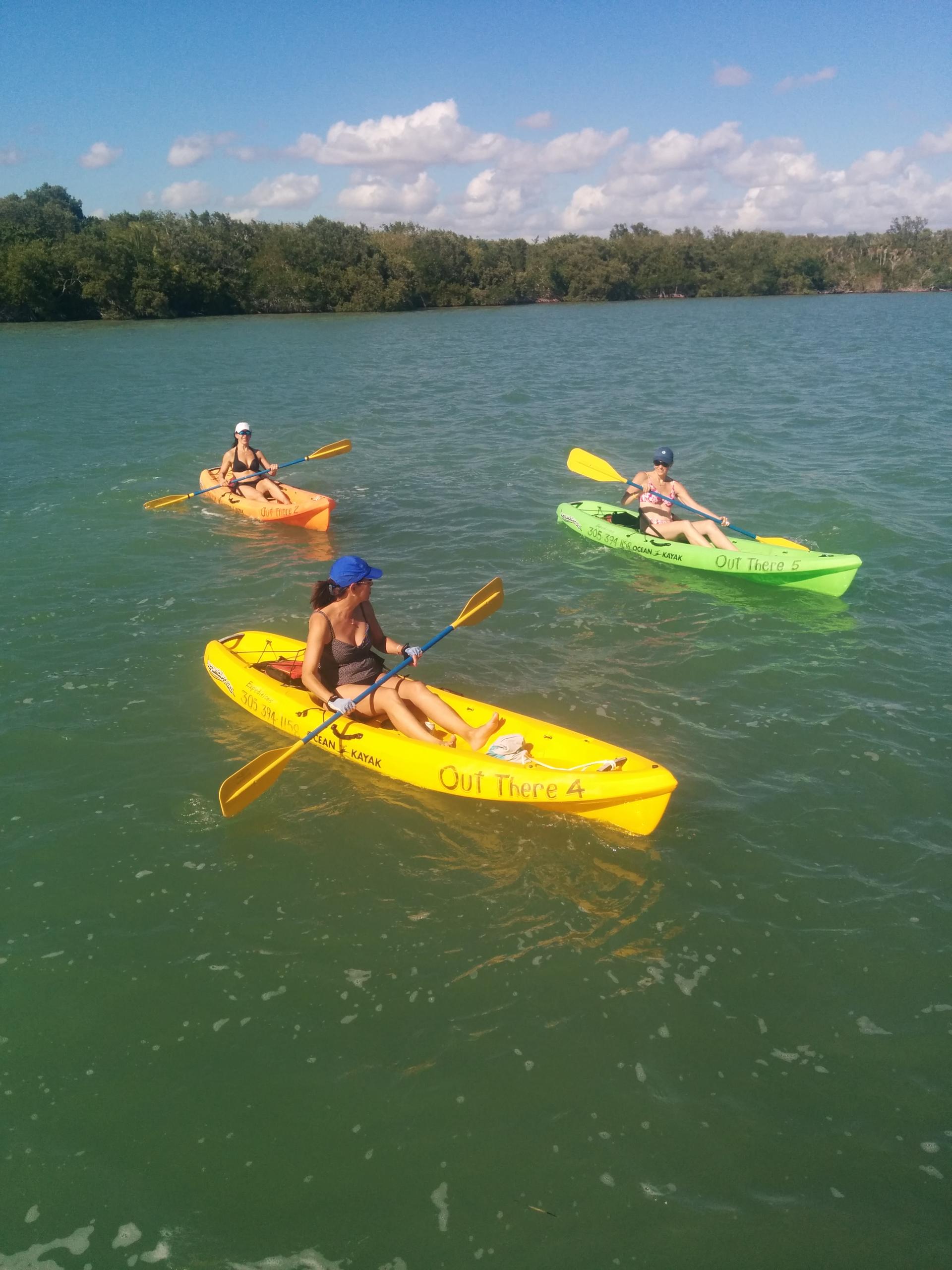 Kayak Tour in Key Largo