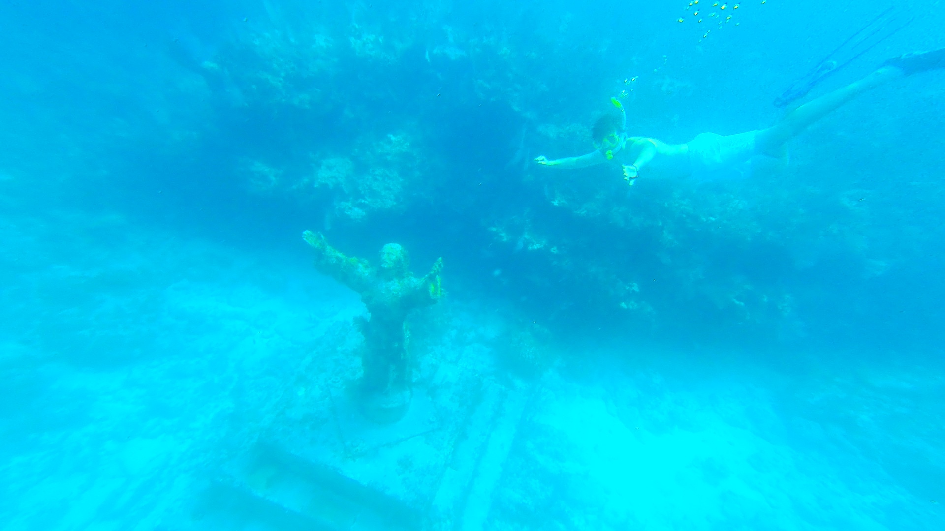 Private Snorkel Tour in Key Largo