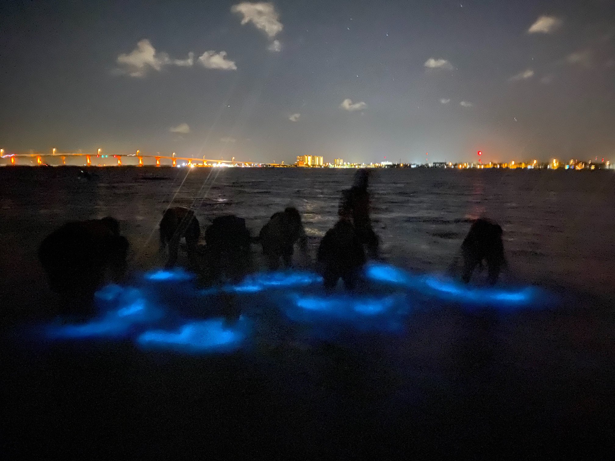 Bioluminescence Kayak Tour in Orlando