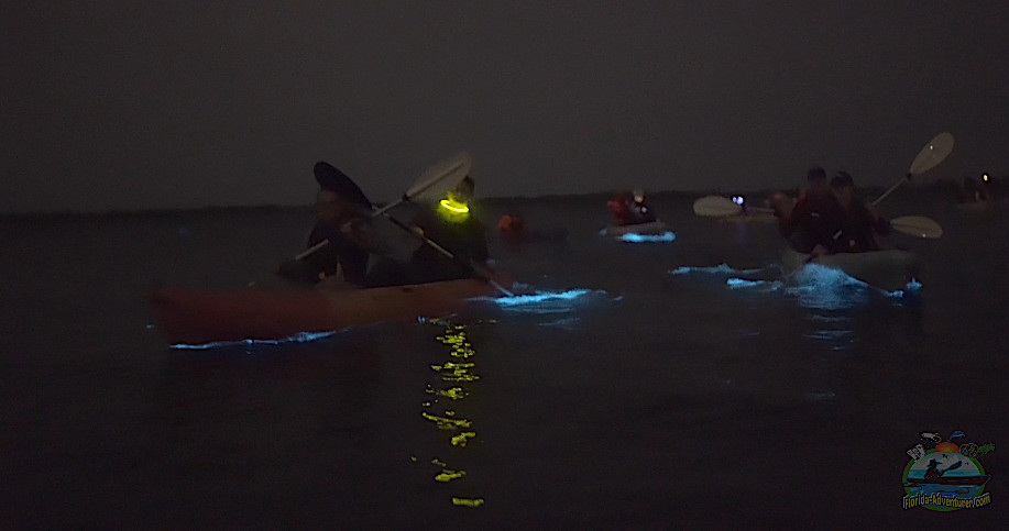 Bioluminescence Clear Kayaking Cruise in Titusville