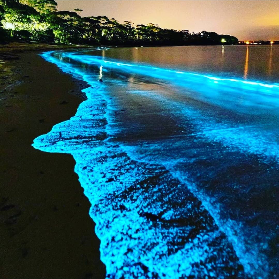 Bioluminescence Rafting Tour in Titusville