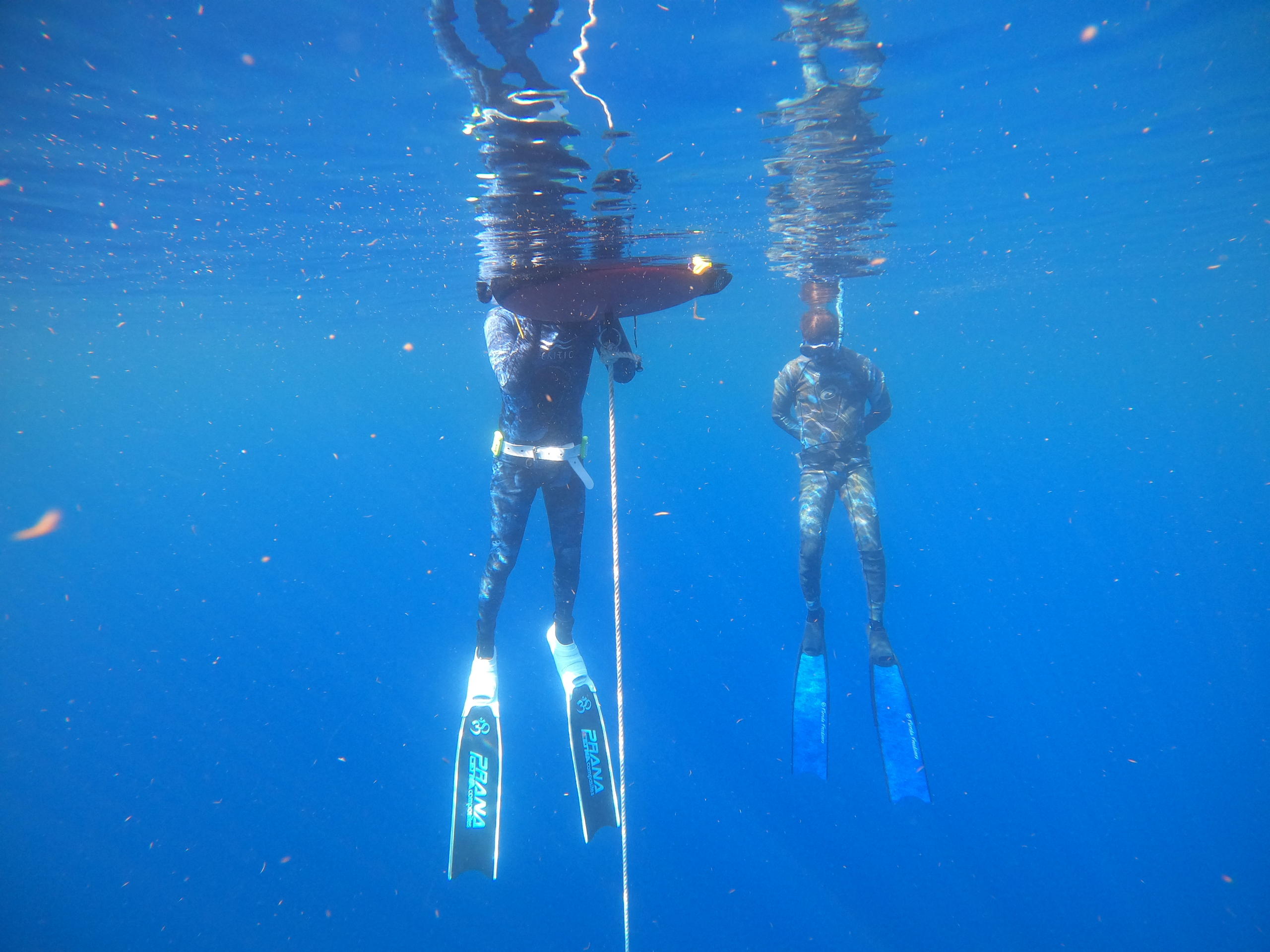 Open Water Freedive Training in Riviera Beach