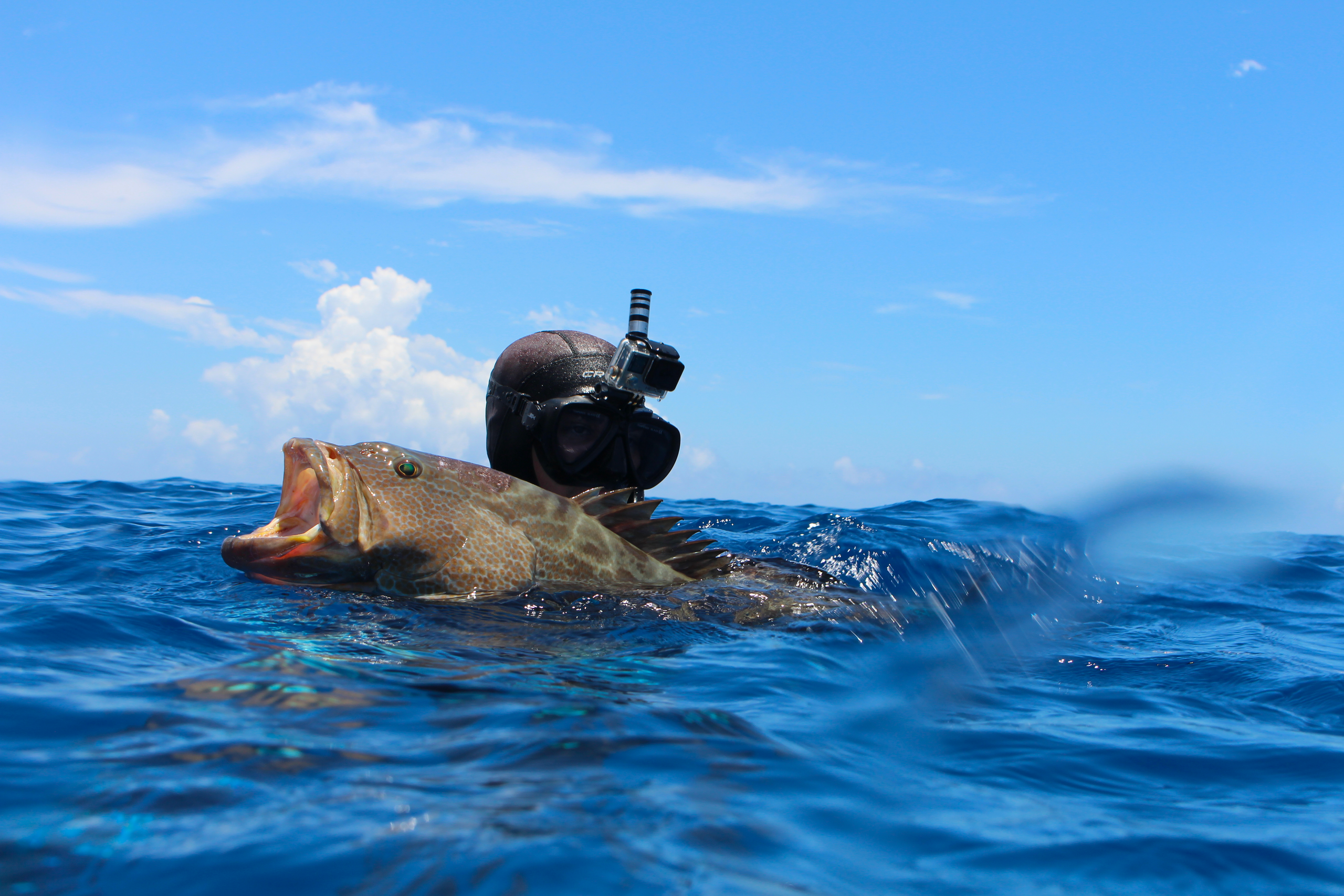 Spearfishing Course in Riviera Beach