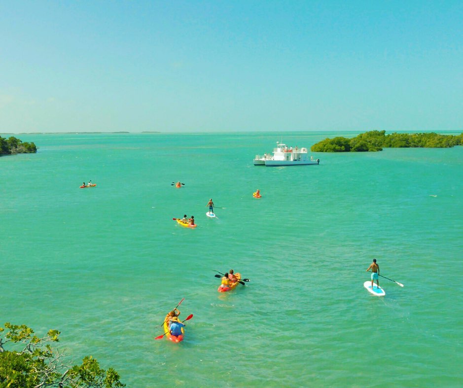 Group Paddle Tour in Key West