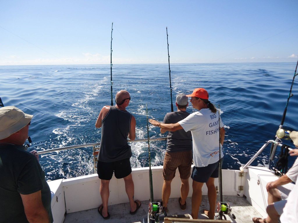 Marlin fishing tour in Vilamoura is a ture adventure!