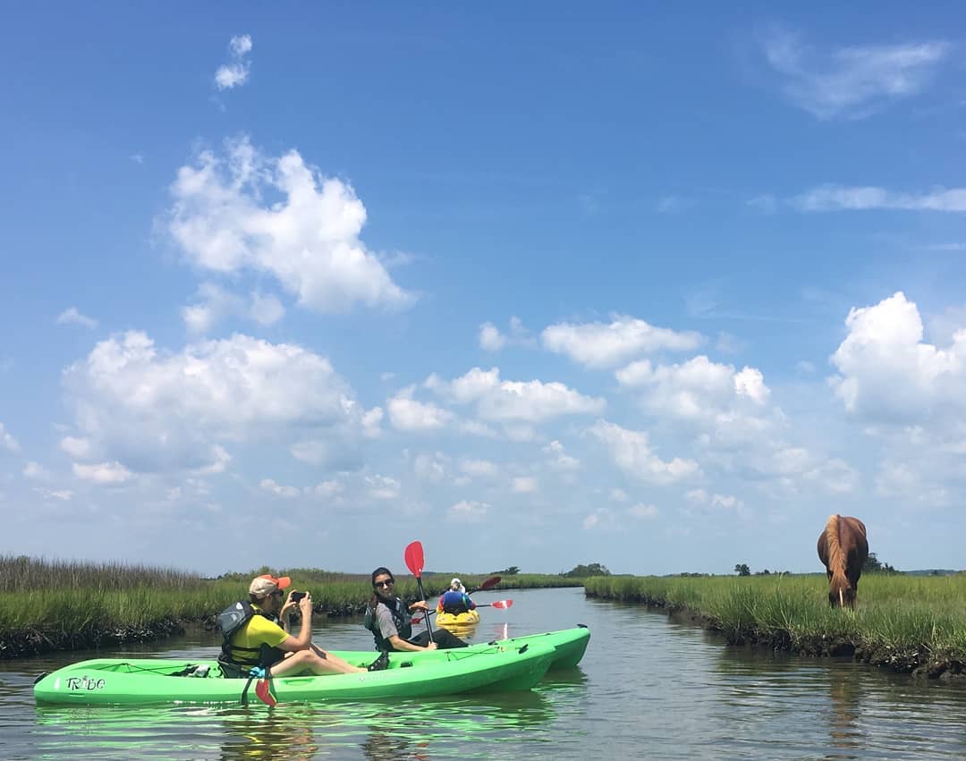 Kayak in Maryland