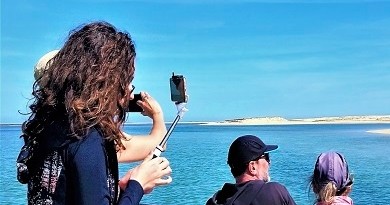 Birdwatching and Nature Cruise in Ria Formosa