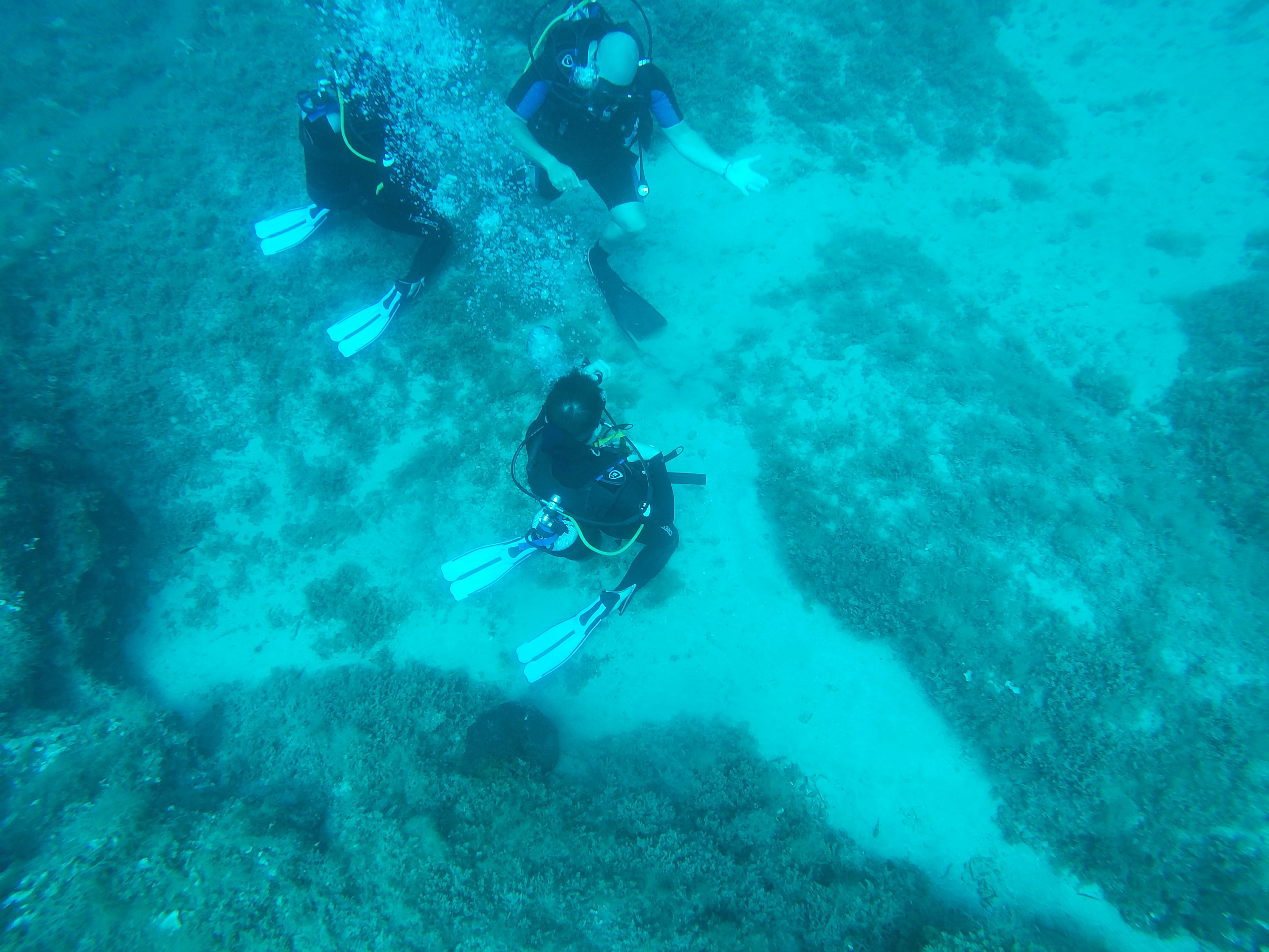 Beginner's SSI Basic Diver Program 2 Dives in Crete