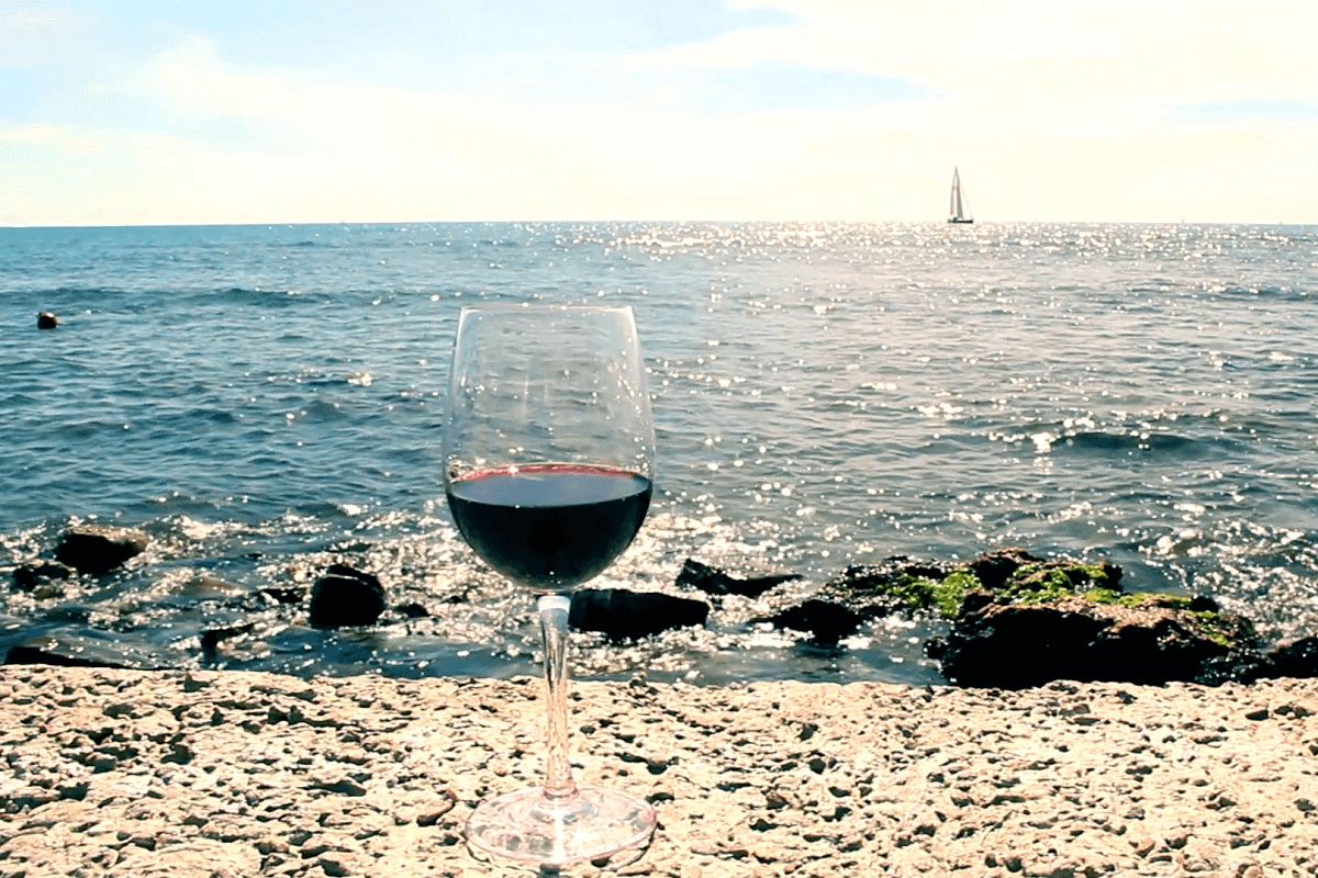 Sailing Tour to the Alella Vineyards from Barcelona