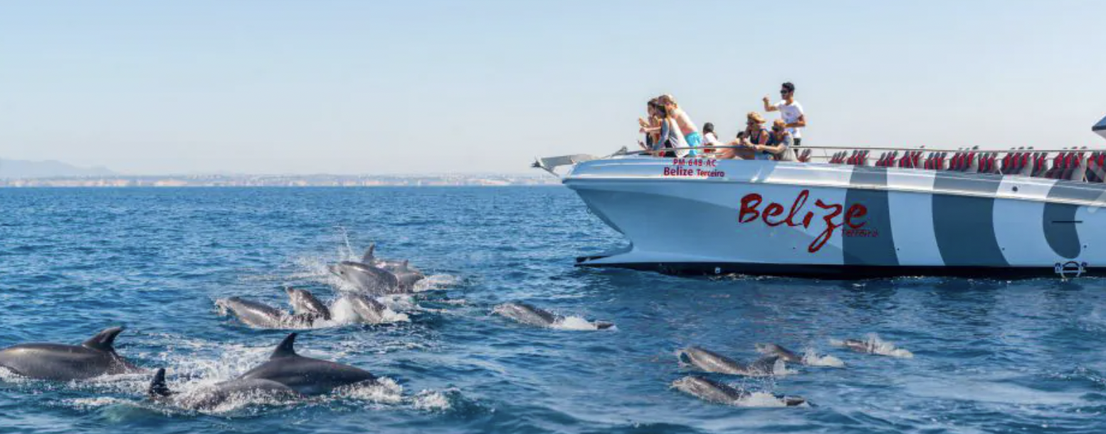 Dolphins and Benagil Cave Catamaran Tour