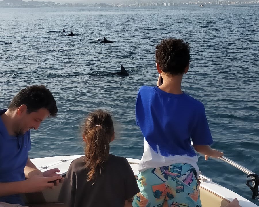 Dolphin Watching Charter in Fuengirola