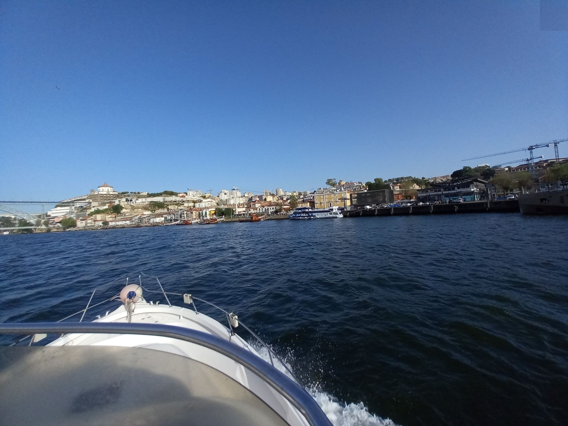 6 Bridges Cruise on Douro River
